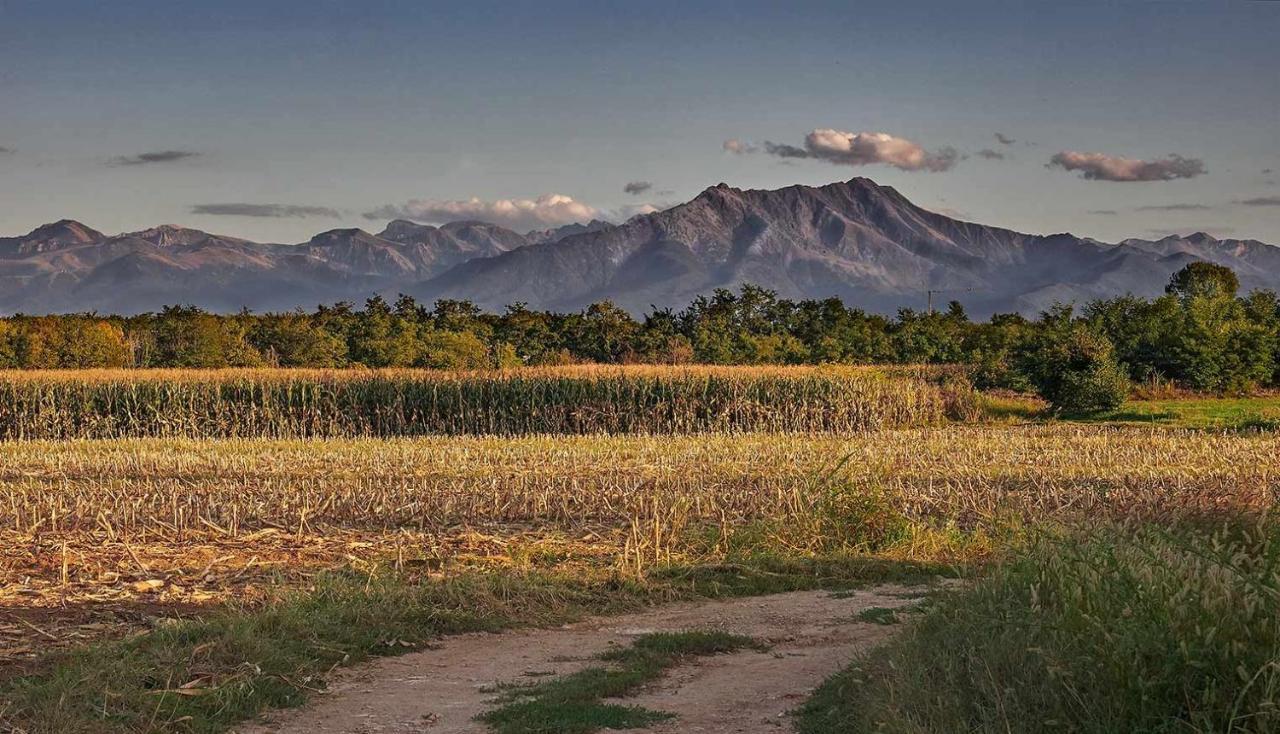 B&B Cascina Dell'Eco Busca Kültér fotó